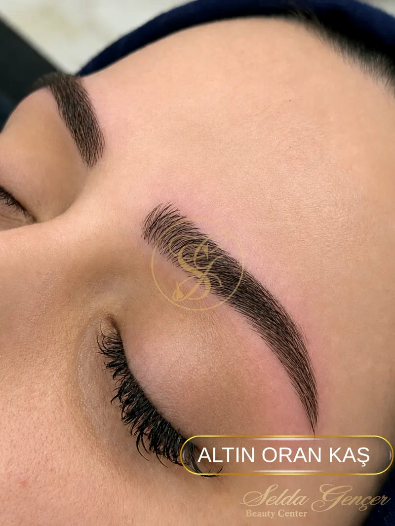 Altın oran ölçü çizgileriyle kaş